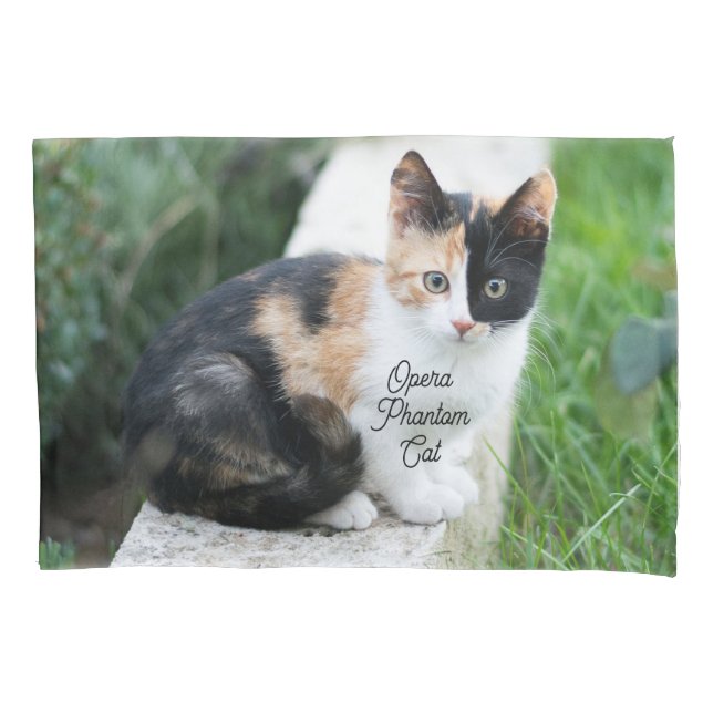 Opera Phantom Cat Pillow Case (Front)