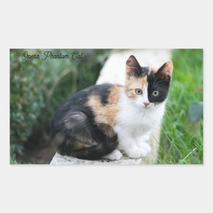 Opera Phantom Cat Rectangular Sticker