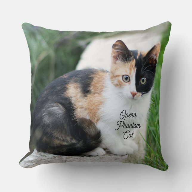 Opera Phantom Cat Throw Pillow (Front)