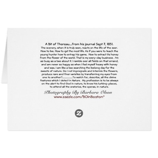 Operas, Oratorios in Nature (Back Horizontal)