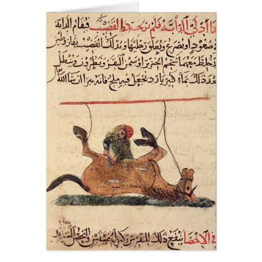 Operation on a horse, illustration (Front)