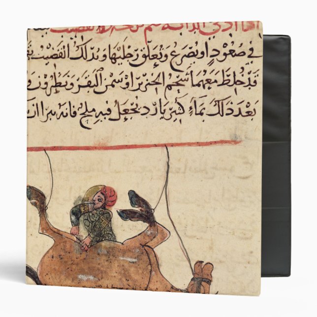 Operation on a horse, illustration 3 ring binder (Front/Inside)