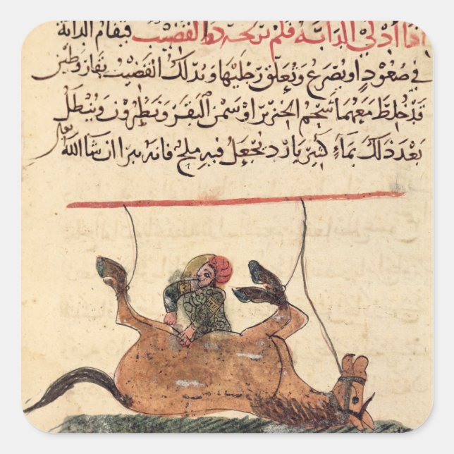 Operation on a horse, illustration square sticker (Front)