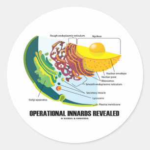 Operational Innards Revealed (Cell Biology) Classic Round Sticker