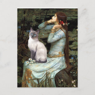 Ophelia - Blue Point Siamese cat Postcard