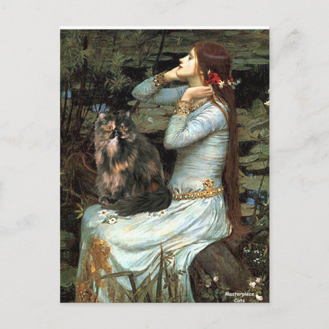 Ophelia - Persian Calico cat Postcard (Front)