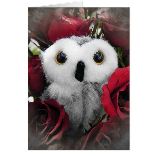 Ophelia & The Vintage Roses Cards (Front)