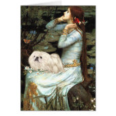 Ophelia - White Pekingese 4 (Front)