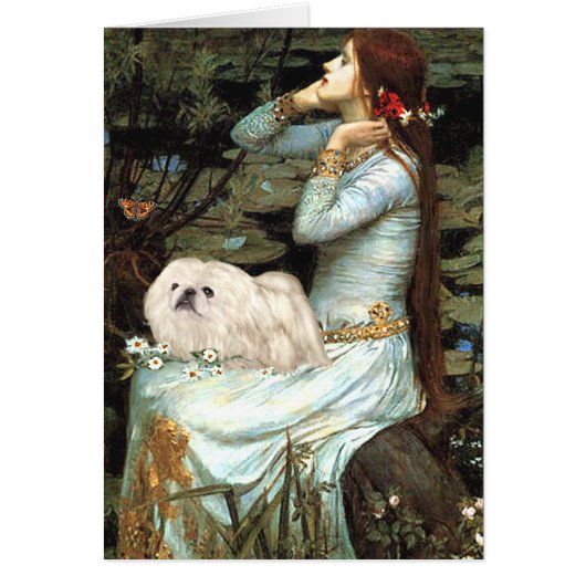 Ophelia - White Pekingese 4 Cards (Front)