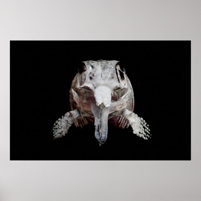 Ophthalmosaurus Poster (Front)