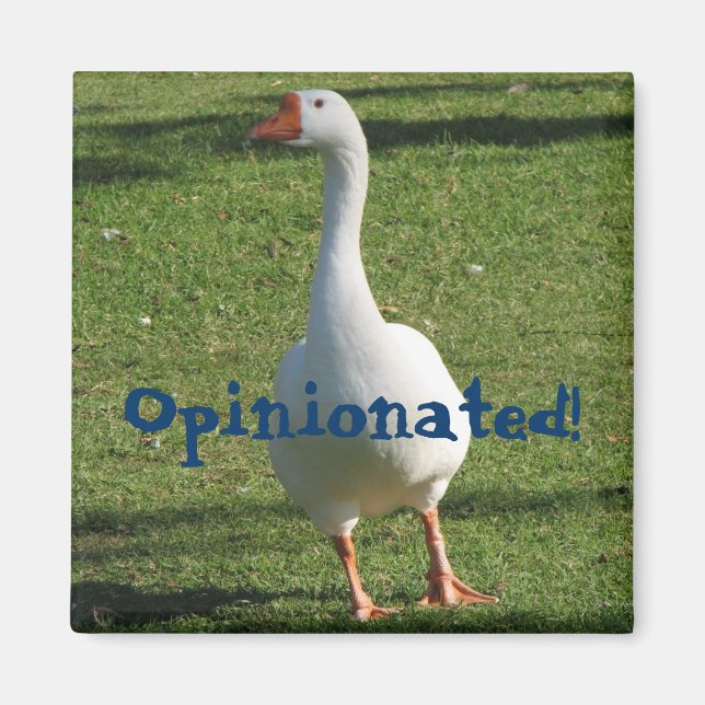 Opinionated Magnet! Magnet (Front)