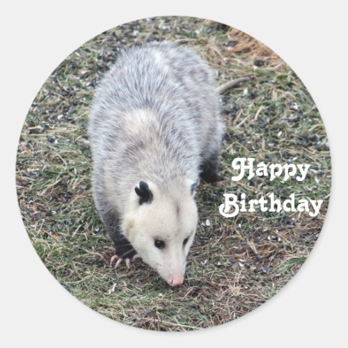 Opossum Birthday Classic Round Sticker