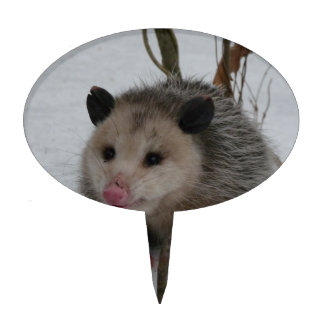 Opossum Cake Topper