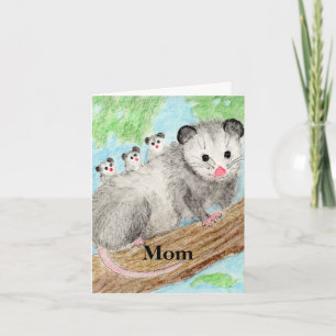 Opossum Card