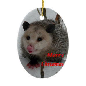 Opossum Ceramic Ornament