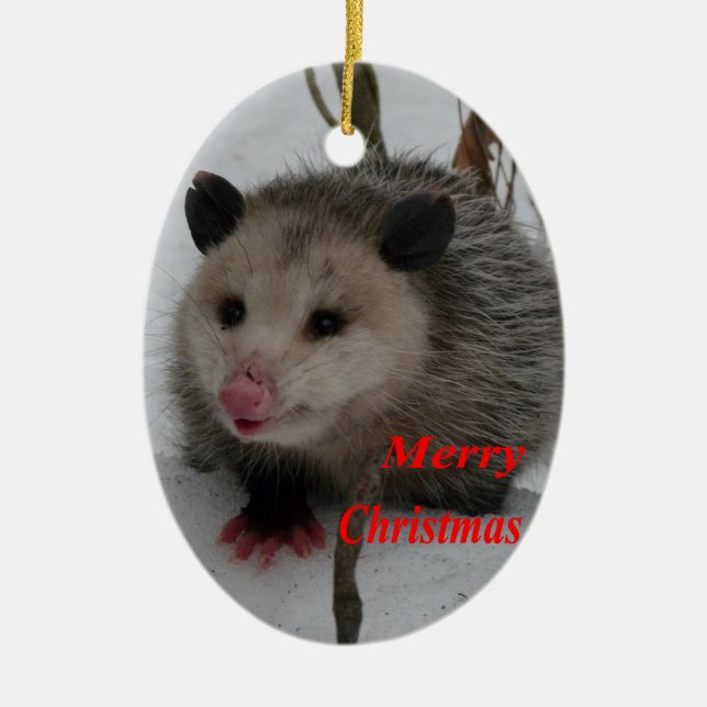 Opossum Ceramic Ornament (Front)