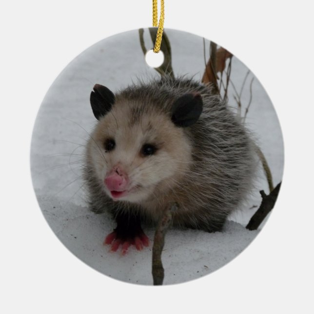 Opossum Ceramic Ornament (Front)