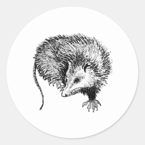 Opossum Classic Round Sticker