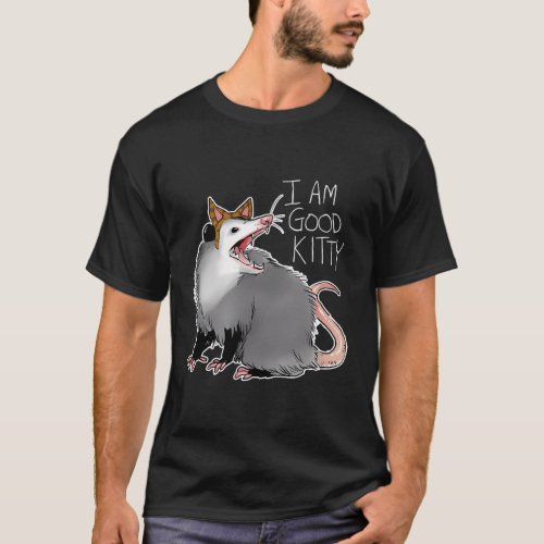 Opossum I Possum I Am A Kitty T_Shirt
