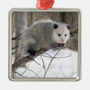 Opossum Love Metal Ornament