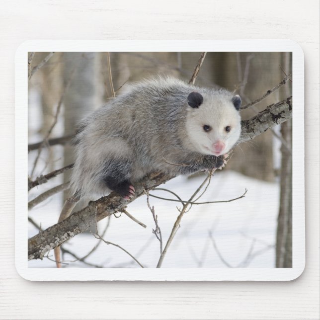 Opossum Love Mouse Pad (Front)