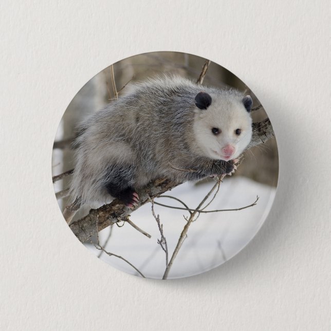 Opossum Love Pinback Button (Front)