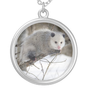 Opossum Love Silver Plated Necklace