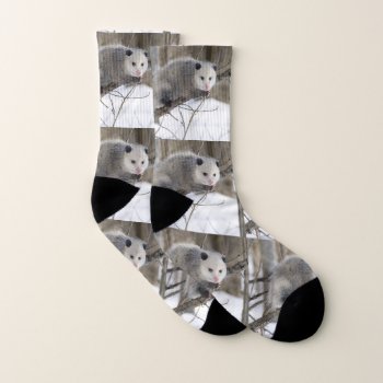 Opossum Love Socks by Incatneato at Zazzle