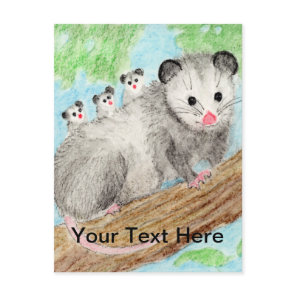 Opossum Mom Postcard