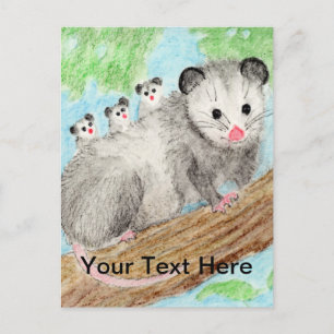 Opossum Mom Postcard