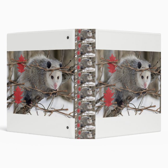 Opossum Nature children's school binder (Background)