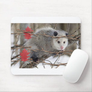 Opossum Nature White  Mouse Pad! Mouse Pad