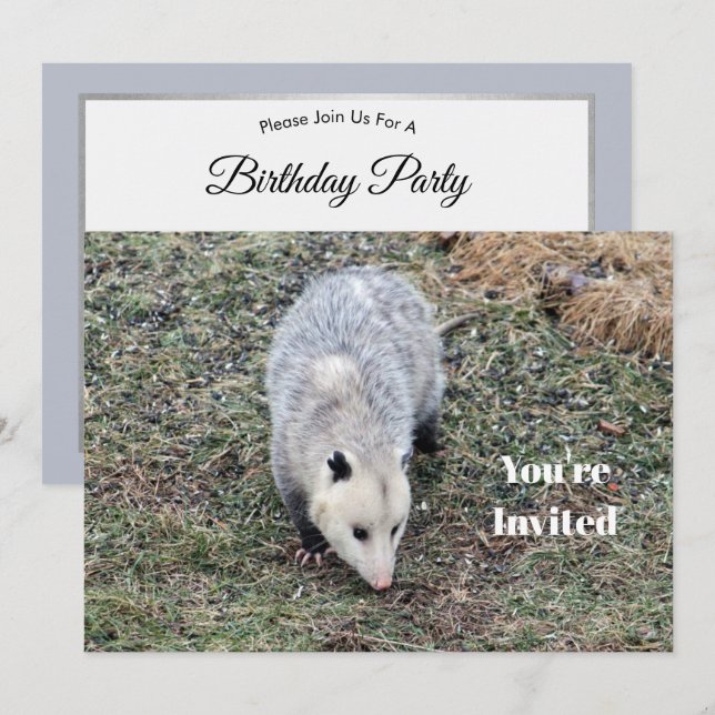 Opossum Photo Birthday Invitation (Front/Back)