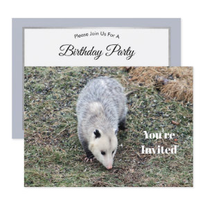 Opossum Photo Birthday Invitation