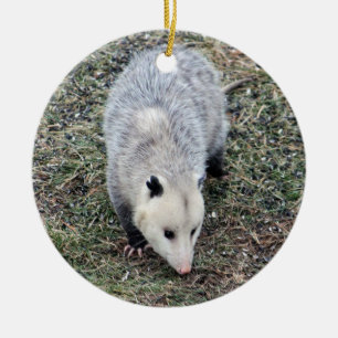 Opossum Photo Ceramic Ornament