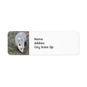 Opossum Photo Label