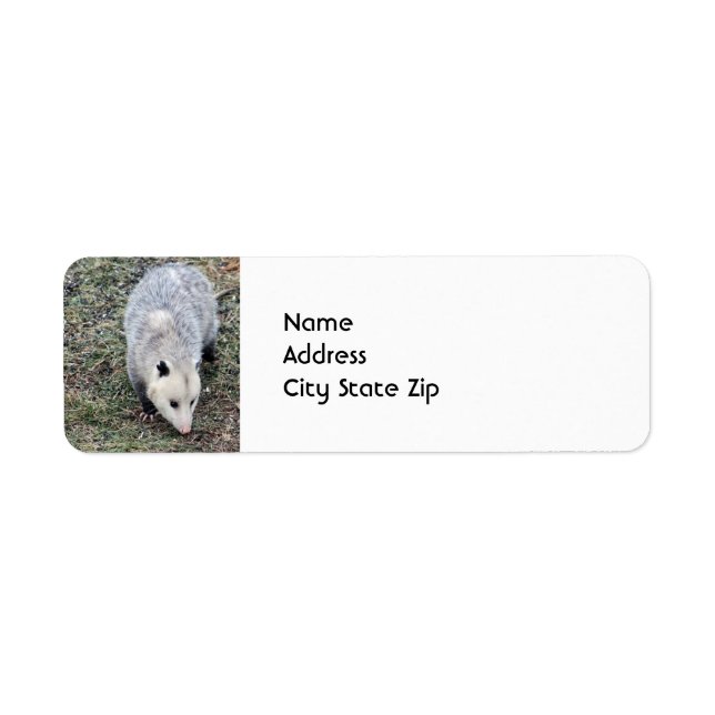 Opossum Photo Label (Front)