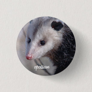 Opossum Pinback Button