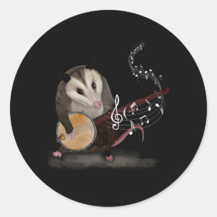 Opossum Playing Banjo Guitar Possum Live Weird Tra Classic Round Sticker