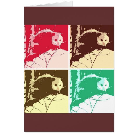 Opossum Pop Art Cards (Front)