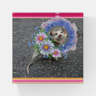Opossum Stripe Floral Paperweight