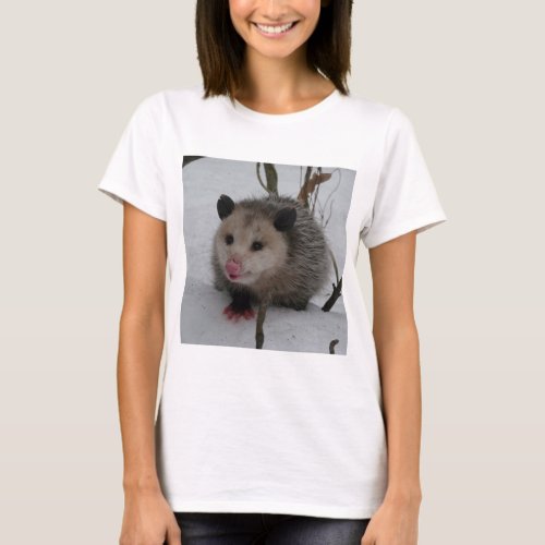 Opossum T_Shirt