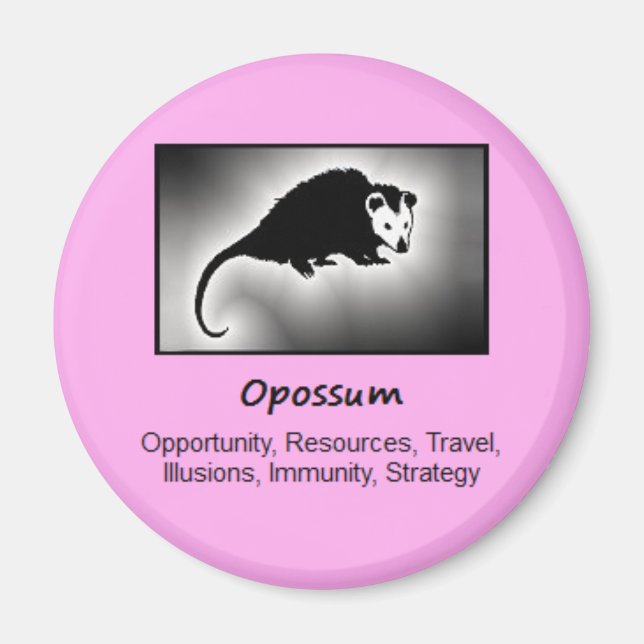 Opossum Totem Animal Spirit Meaning Magnet (Front)