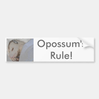 Opossum's Rule! Bumper Sticker