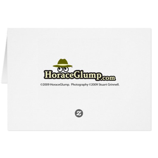 Opportunity Locks Cards (Back Horizontal)