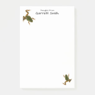 Opposing Climbing Green Frog Photographs Post-it Notes