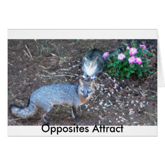 Opposites Attract Cards