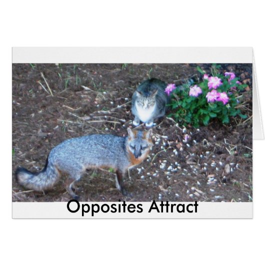 Opposites Attract Cards (Front Horizontal)