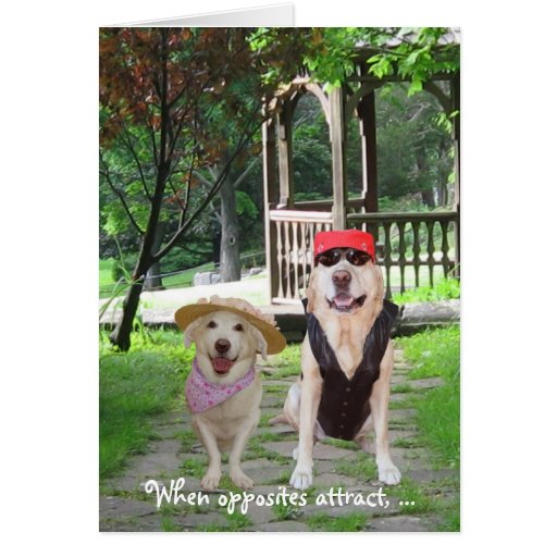 Opposites Attract Funny Dogs Card | Zazzle