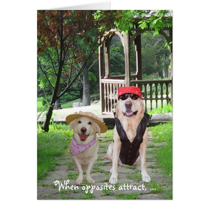 Opposites Attract Funny Dogs Card